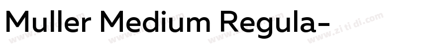 Muller Medium Regula字体转换